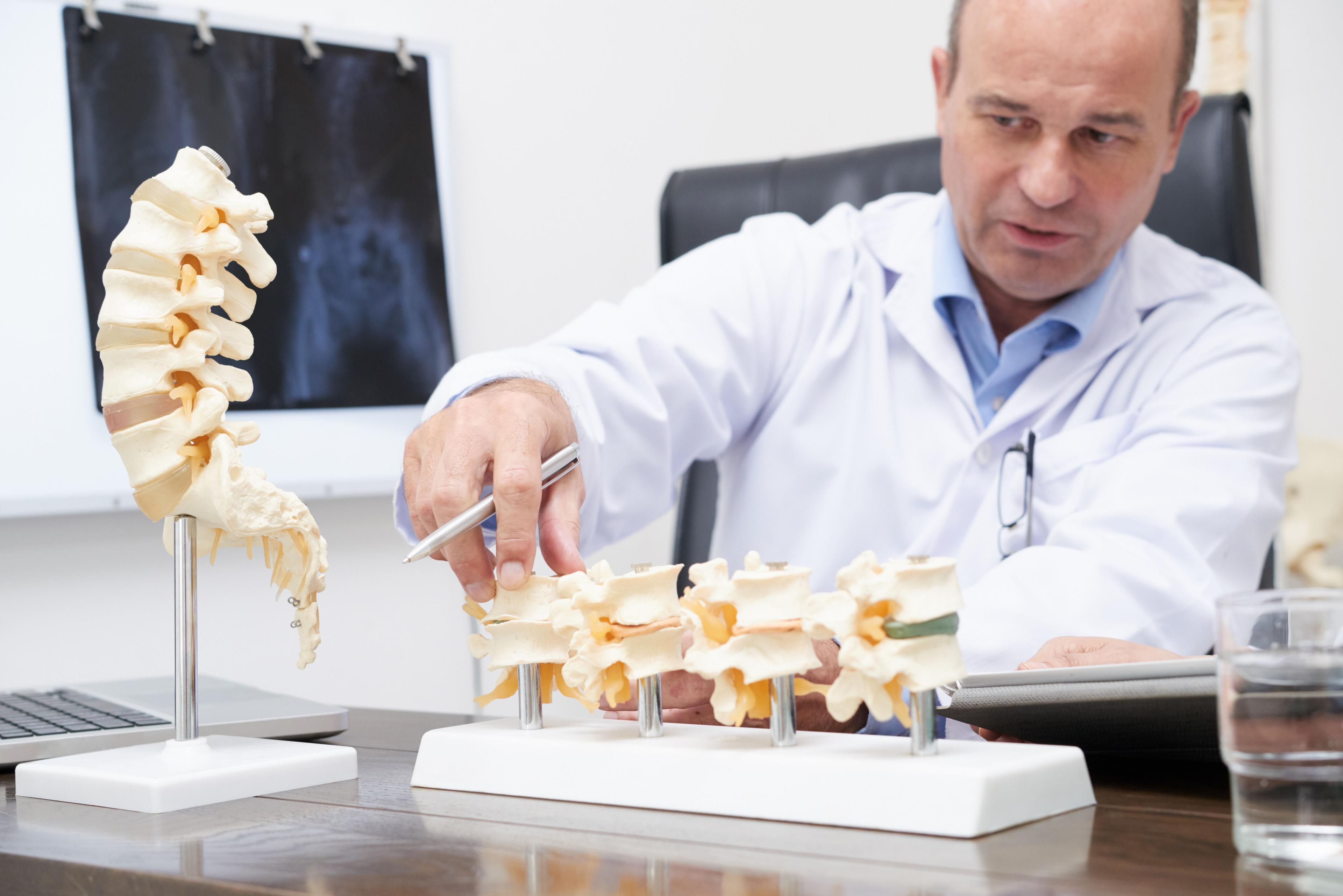 Surgeon discusses spine models in an office