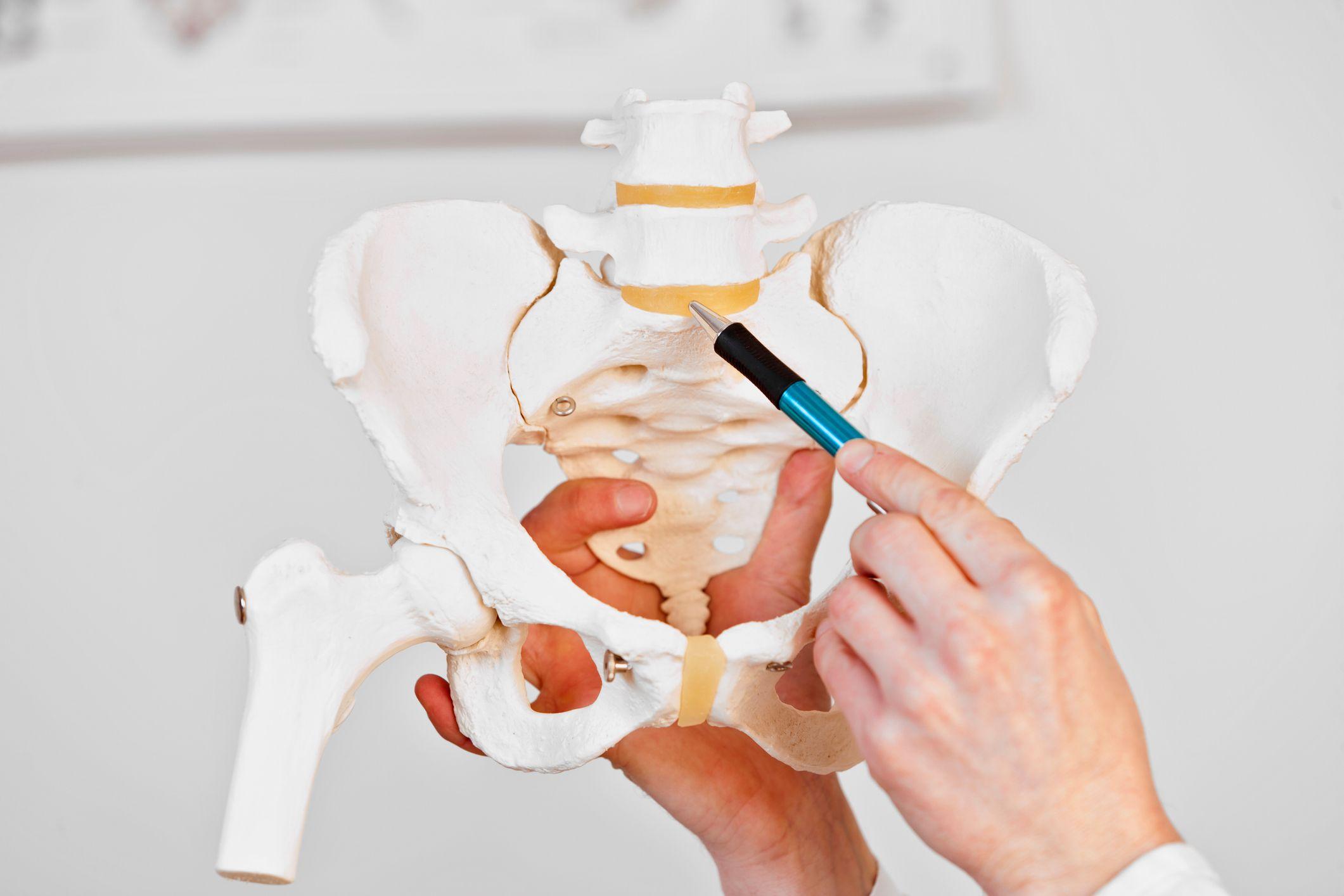 Hands pointing to L5-S1 on a lumbar spine model with a pen.