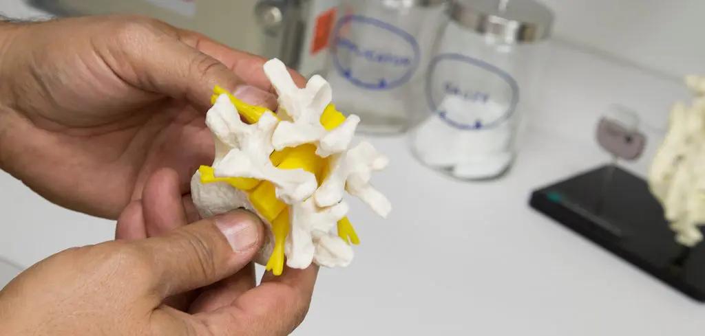 Hand holding a 3D-printed model of a spinal structure in a laboratory setting.