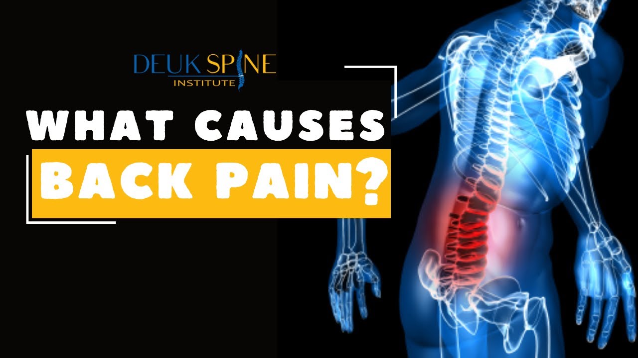 What causes back pain? Back Pain Explained.