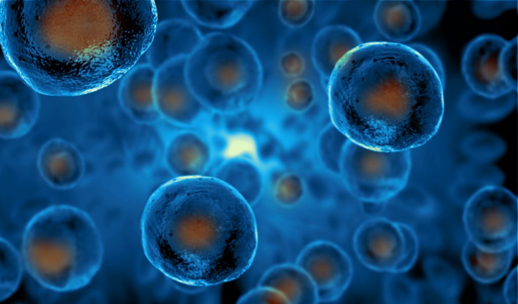 PRP and Stem Cells Visual Representation