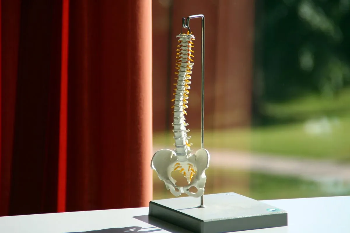 herniated disc chiropractor