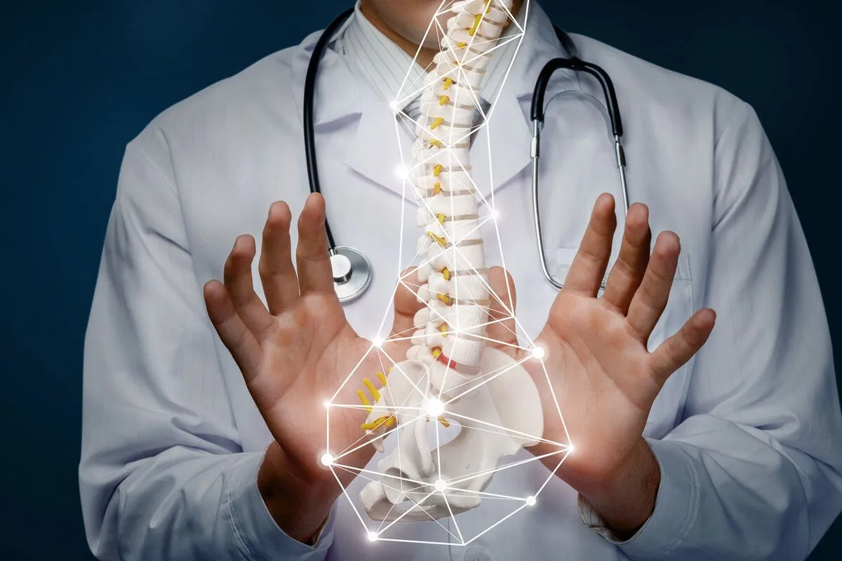 what are intervertebral discs made of