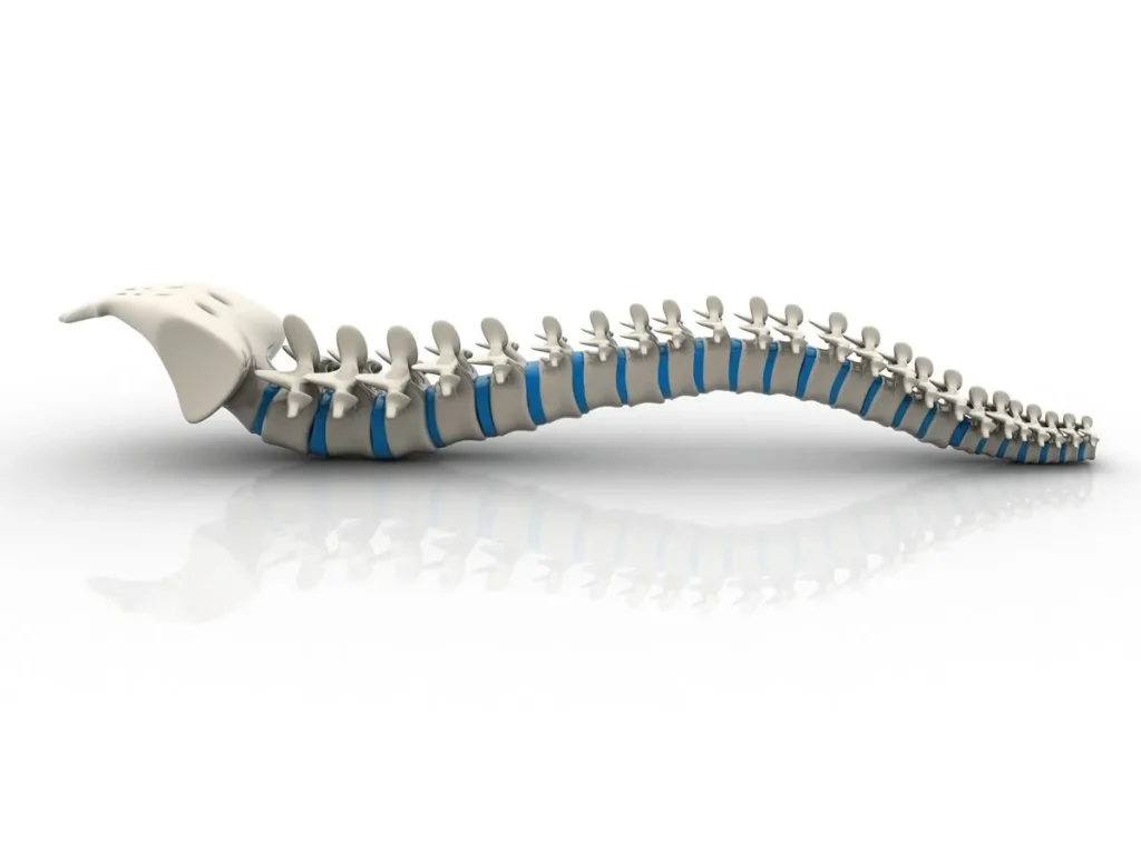 Animated Spine Showing Herniation