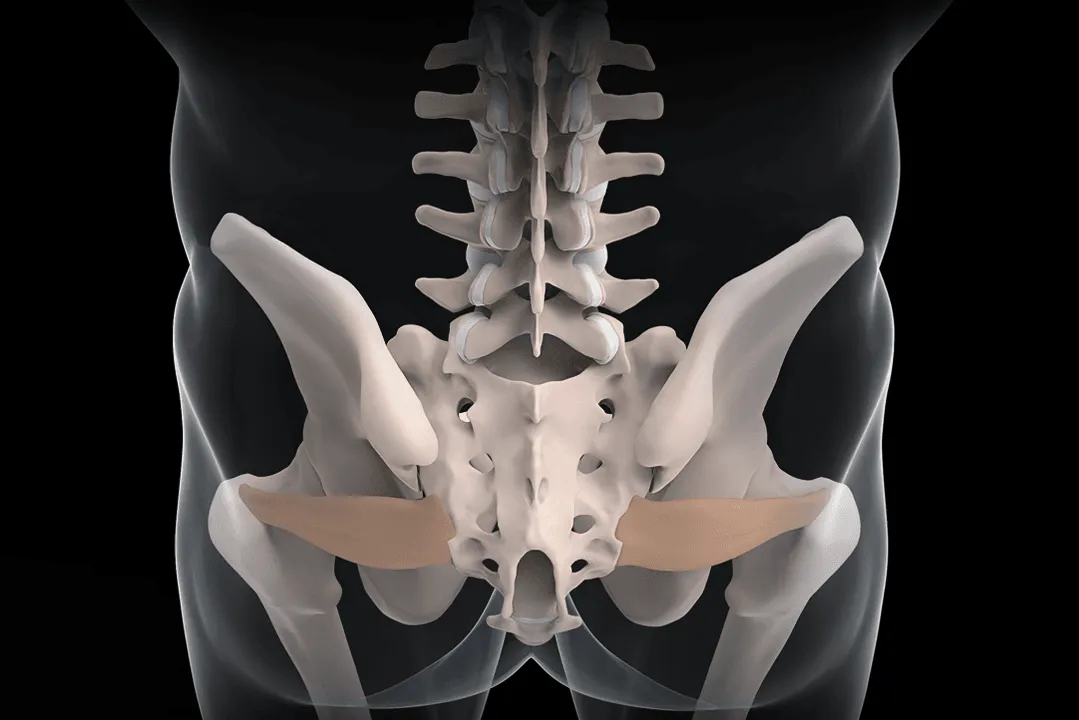 Thumbnail for the 30 causes of back pain interactive.