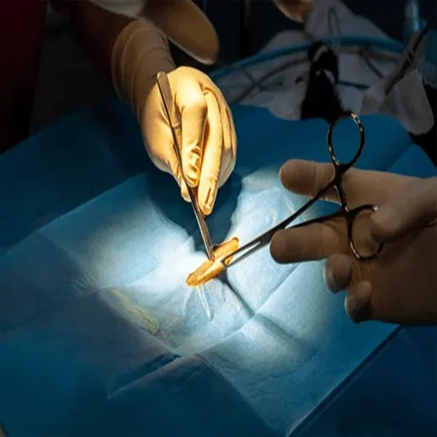 Surgeons operate under bright surgical lights with tools on a draped table.