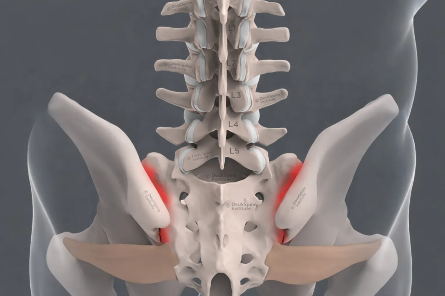 Sacroiliac joint anatomy illustration