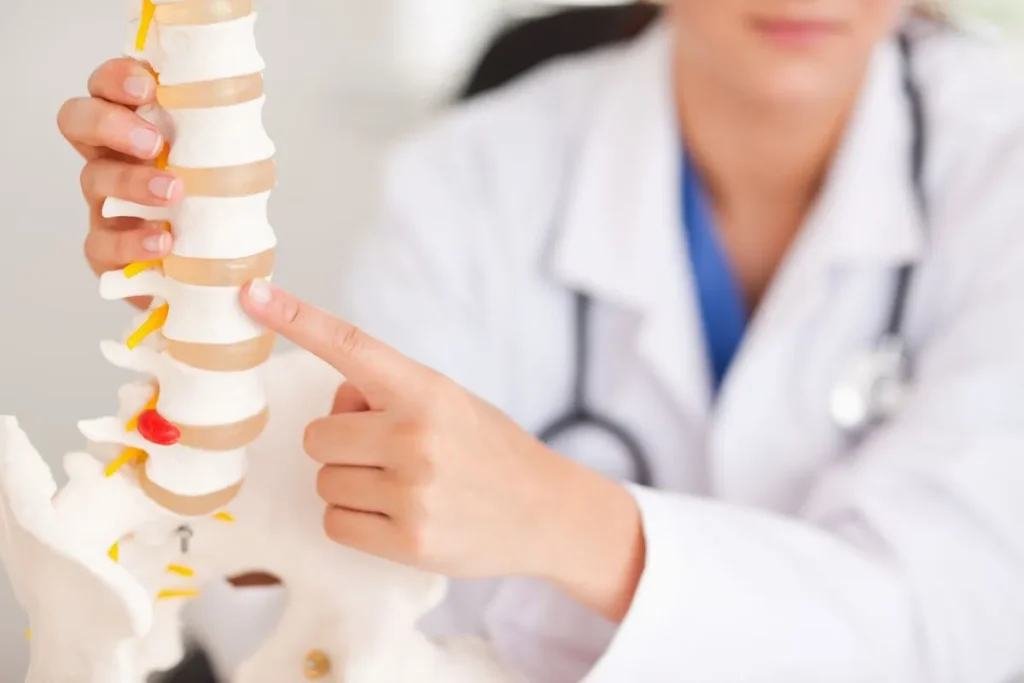 Doctor pointing at a model of a human spine.