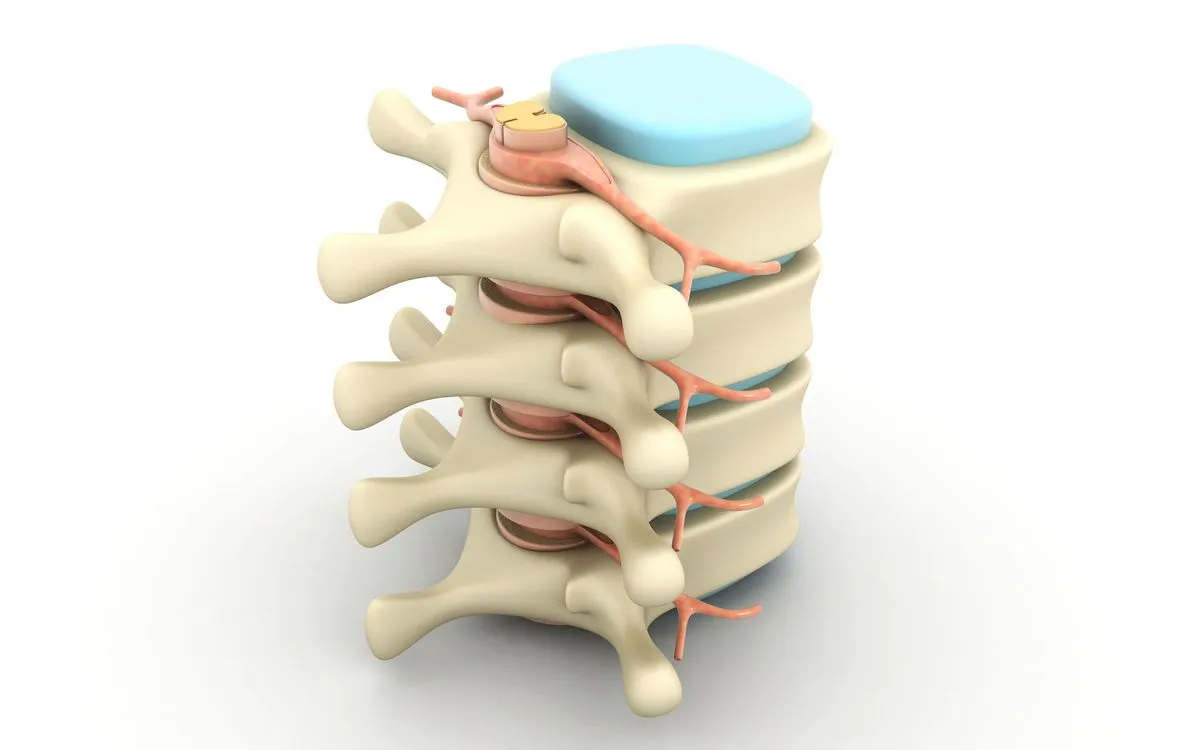 heal a herniated disc naturally
