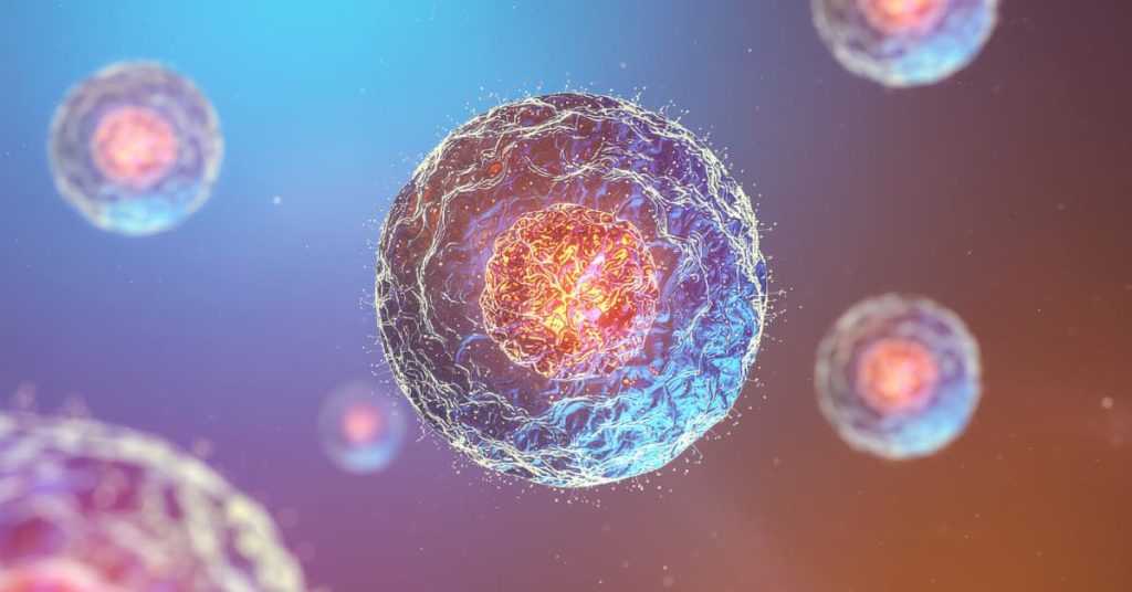 Stem cell therapy for spine