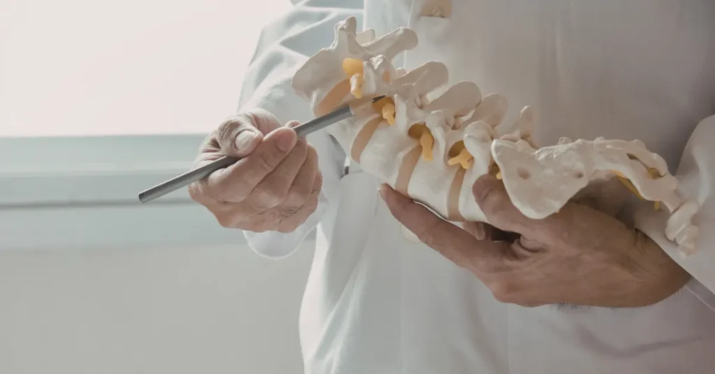 Doctor using a spine model to demonstrate lumbar vertebrae and nerve structures during a medical consultation.