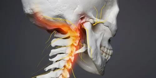 Skeleton neck with orange highlighting on neck