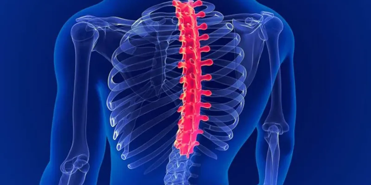 Transparent human figure highlighting the spine in red, illustrating spine surgery focus.