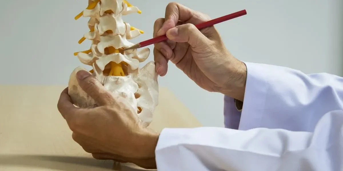 Endoscopic spine surgeon