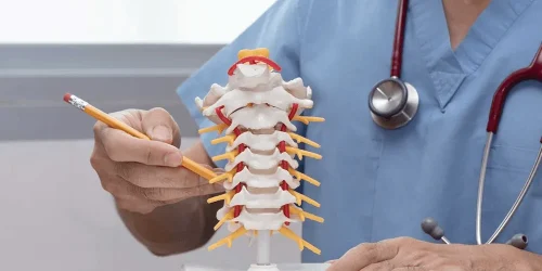 Doctor in scrubs examines a spinal model with a pencil in hand.