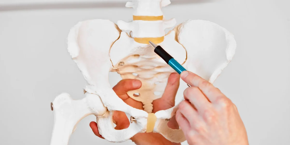 Hands pointing to L5-S1 on a lumbar spine model with a pen.