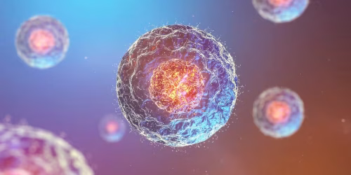 Stem cell therapy for spine